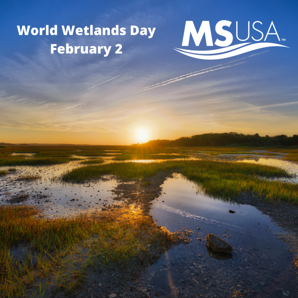 World Wetlands Day February 2 Mitigation Solutions USA, LLC MSUSA