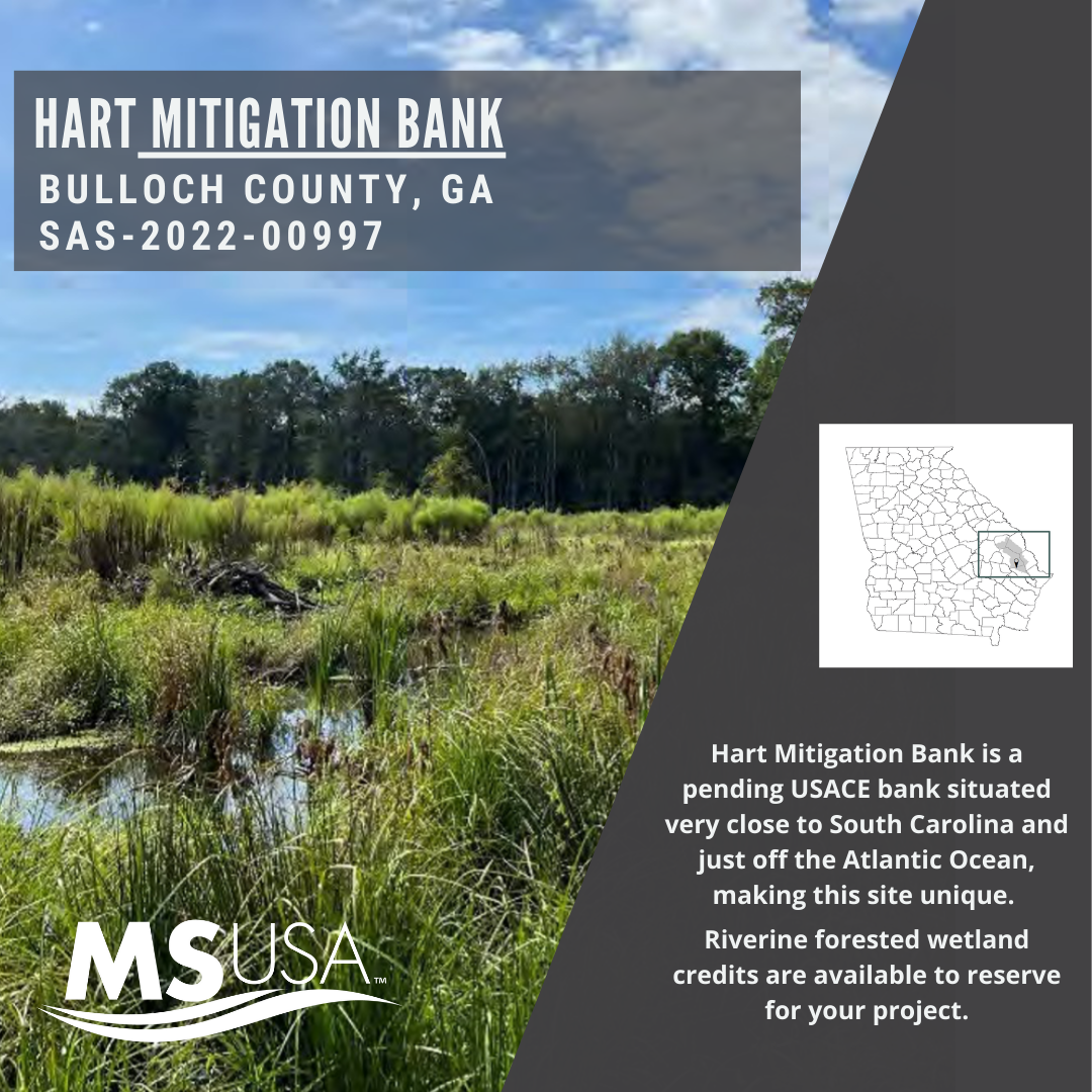 New Pending Mitigation Bank in Georgia – Savannah District